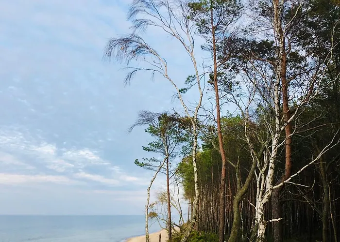 Sea Breeze شقة دجيفنوفيك